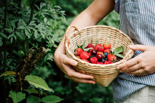 How to Preserve Wild Berries from Foraging: A Complete Guide to Keep Nature’s Bounty Fresh Foraging