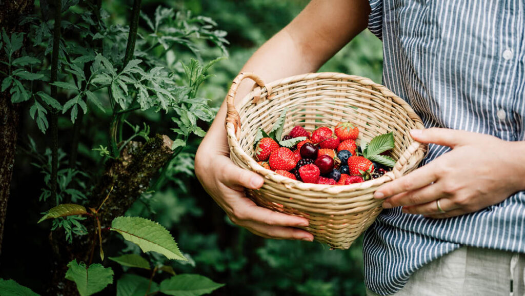 Foraging
