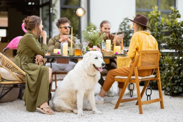 Dine with Your Furry Friends: The Ultimate Guide to Pet Friendly Restaurants Near Me Furry