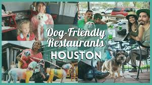 The Ultimate Guide to Dog Friendly Restaurants: Dining Out with Your Pup The Ultimate Guide to Dog Friendly Restaurants: Dining Out with Your Pup
