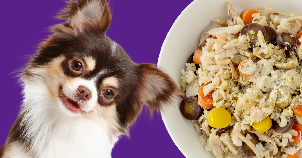 rice dog