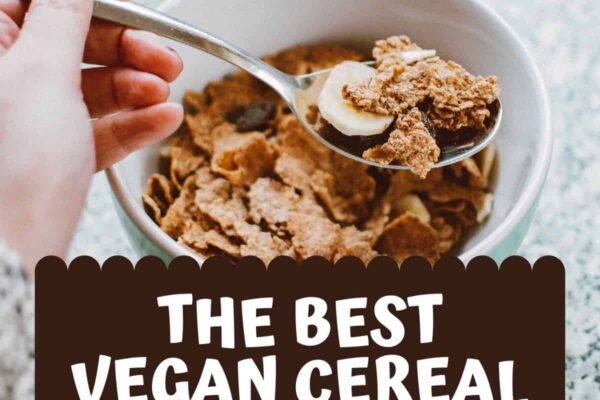Vegan Cereal: Your Ultimate Guide to Plant-Based Breakfast Bliss Vegan Cereal: Your Ultimate Guide to Plant-Based Breakfast Bliss