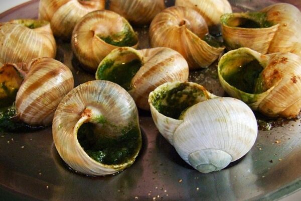 Escargot Recipe: A Classic French Delicacy You Can Master at Home Escargot Recipe