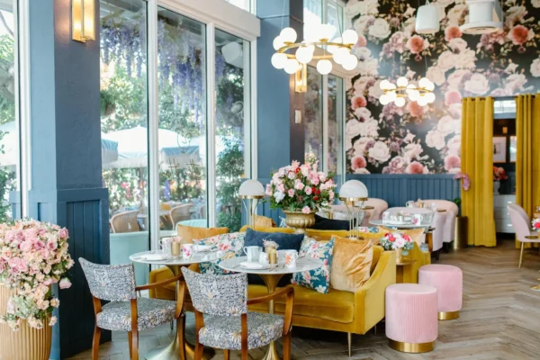 River Oaks Houston TX Restaurants: Discover the Latest & Most Noteworthy Dining Destinations River Oaks Houston TX Restaurants: Discover the Latest & Most Noteworthy Dining Destinations