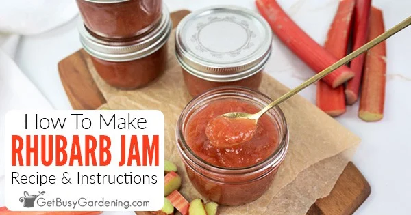 Rhubarb Jam Recipe: A Sweet and Tangy Delight You Can Make at Home Rhubarb Jam Recipe: A Sweet and Tangy Delight You Can Make at Home